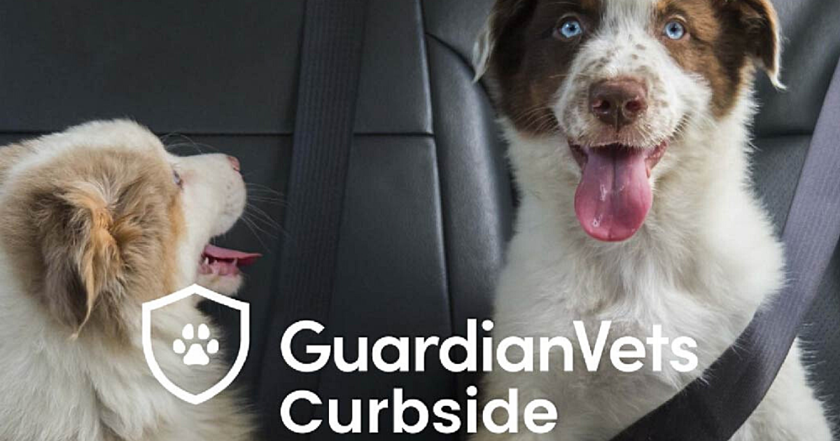 GuardianVets Launches Curbside, Contactless Appointments for Pet Owners